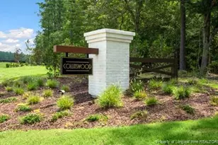 742 Lazy Elm Ln, Aberdeen, NC 28315 - Photo 42