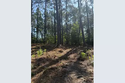 Tbd Stephanie Street, Southern Pines, NC 28387 - Photo 6