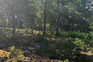 Tbd Stephanie St, Southern Pines, NC 28387 - Photo 1