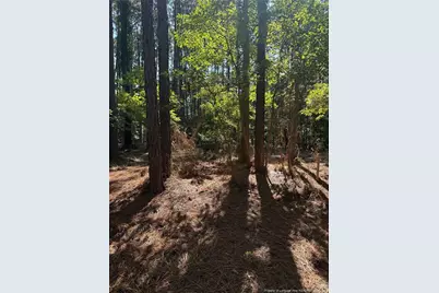 Tbd Stephanie Street, Southern Pines, NC 28387 - Photo 8