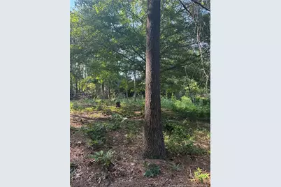 Tbd Stephanie Street, Southern Pines, NC 28387 - Photo 4