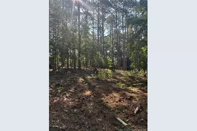 Tbd Stephanie Street, Southern Pines, NC 28387 - Photo 2