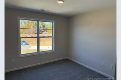 110 Mossy Bridge Court, Lillington, NC 27546 - Photo 16