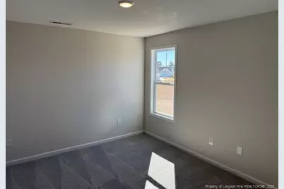 110 Mossy Bridge Court, Lillington, NC 27546 - Photo 14