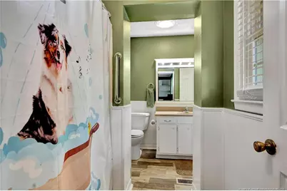 994 Great Marsh Church Road, Saint Pauls, NC 28384 - Photo 30