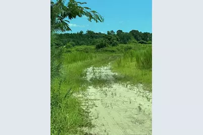 2898 McGirt Gin Road, Maxton, NC 28364 - Photo 4