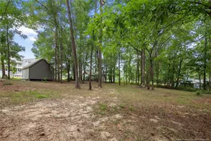 151 Mills Pond Rd, Benson, NC - Photo 6