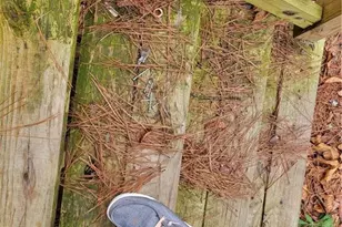 745 McArthur Rd, Fayetteville, NC 28311 - Photo 20