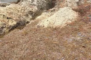 745 McArthur Rd, Fayetteville, NC 28311 - Photo 22