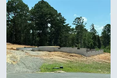 668 Blossom Trail, Lillington, NC 27546 - Photo 6