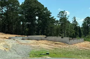 668 Blossom Trl, Lillington, NC 27546 - Photo 6