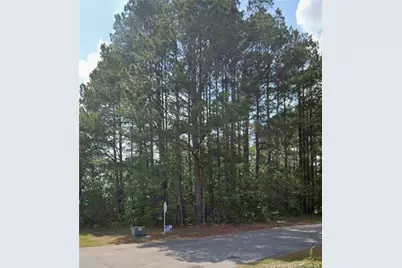 0 Marion Road, Lumberton, NC 28358 - Photo 2