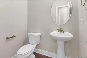 162 Surles Landing Wy, Benson, NC 27504 - Photo 14