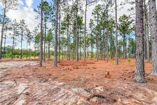 3019 Fields Rd Lot 5, Fayetteville, NC 28312 - Photo 34