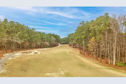 30121 Deercroft Drive, Wagram, NC 28396 - Photo 50