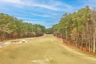 30121 Deercroft Dr, Wagram, NC 28396 - Photo 50