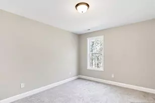 29821 Peach Orchard Rd, Wagram, NC 28396 - Photo 40