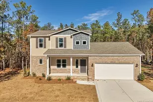 29821 Peach Orchard Rd, Wagram, NC 28396 - Photo 1