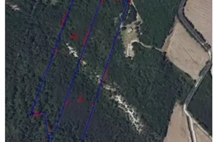 Tbd Doe Hill Rd, Autryville, NC 28318 - Photo 44