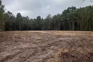 Tbd Doe Hill Rd, Autryville, NC 28318 - Photo 46