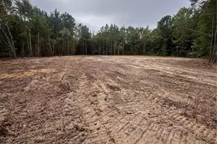 Tbd Doe Hill Rd, Autryville, NC 28318 - Photo 44