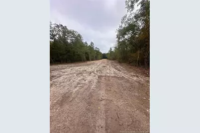 Tbd Doe Hill Road, Autryville, NC 28318 - Photo 42