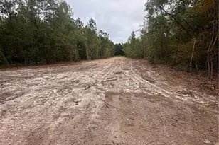 Tbd Doe Hill Rd, Autryville, NC 28318 - Photo 42