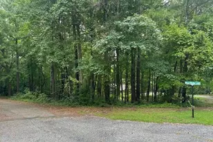 162 Woodwedge Way, Sanford, NC 27332 - Photo 1