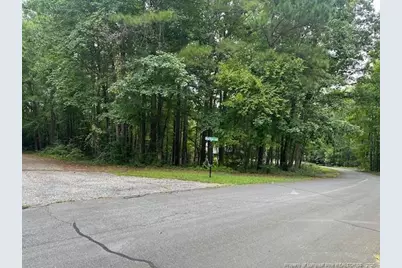 162 Woodwedge Way, Sanford, NC 27332 - Photo 2