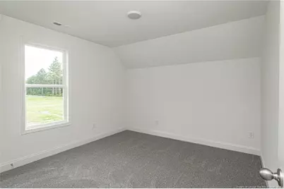 3163 South River School (Lot 14) Road, Wade, NC 28395 - Photo 24