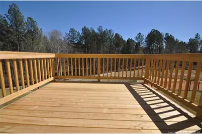 1231 Lizer Road, Durham, NC 27713 - Photo 44