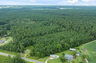 3045 Bridgers Rd, Rowland, NC 28383 - Photo 1