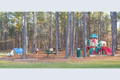 256 Barons Run, Spring Lake, NC 28390 - Photo 42