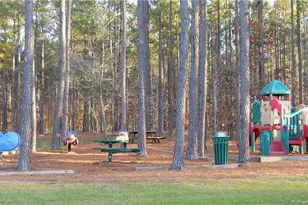 256 Barons Run, Spring Lake, NC 28390 - Photo 42