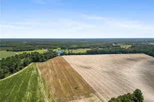 3456 Wade-Stedman Rd, Wade, NC 28395 - Photo 32