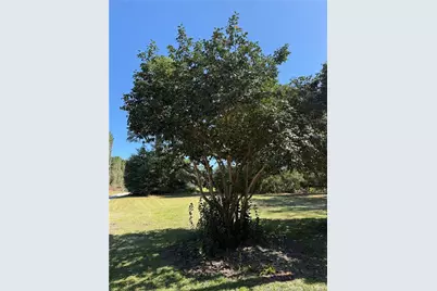 274 Lawrence Brown Road, Bladenboro, NC 28320 - Photo 4