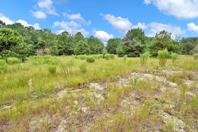 00 Blue Woods Road, Laurinburg, NC 28352 - Photo 8