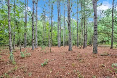 00 Blue Woods Road, Laurinburg, NC 28352 - Photo 24