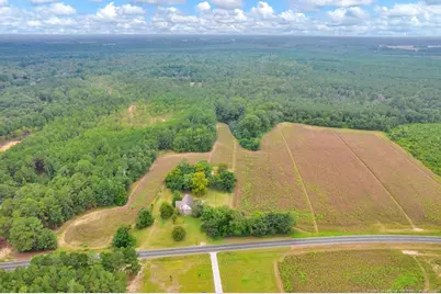 00 Blue Woods Road, Laurinburg, NC 28352 - Photo 16