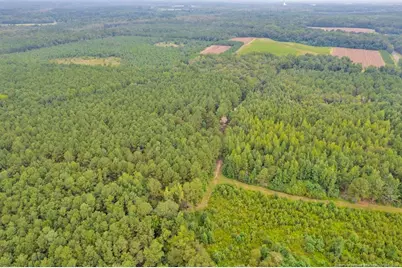 00 Blue Woods Road, Laurinburg, NC 28352 - Photo 10