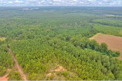 00 Blue Woods Road, Laurinburg, NC 28352 - Photo 12