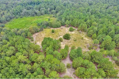 00 Blue Woods Road, Laurinburg, NC 28352 - Photo 6