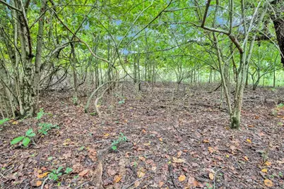 00 Blue Woods Road, Laurinburg, NC 28352 - Photo 26