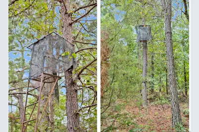 00 Blue Woods Road, Laurinburg, NC 28352 - Photo 32