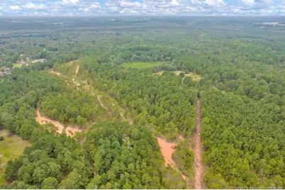 00 Blue Woods Road, Laurinburg, NC 28352 - Photo 14