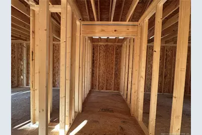 704 Bald Eagle Drive, Vass, NC 28394 - Photo 12