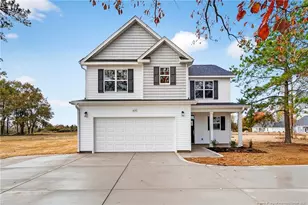 419 Delmore Rd, Autryville, NC 28318 - Photo 2