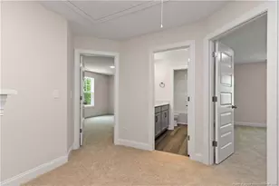 178 Surles Landing Wy, Benson, NC 27504 - Photo 18