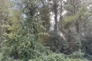 Lot 2 E Williams St, Autryville, NC 28318 - Photo 1