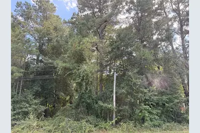 Lot 3 E Williams Street, Autryville, NC 28318 - Photo 1